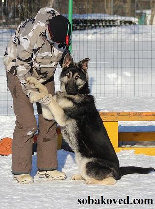 Зайчик)