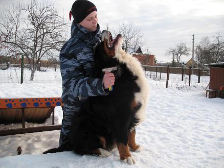 семен.jpg